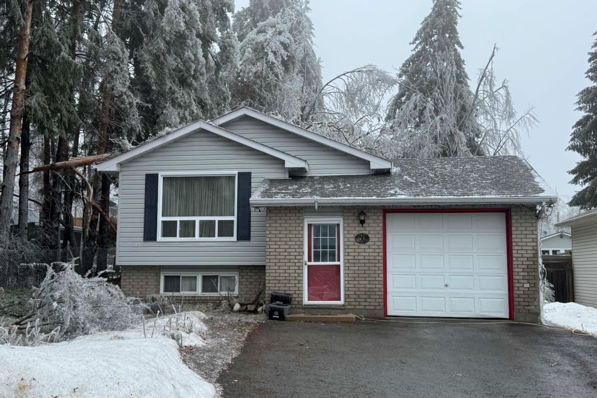 Ice storm has led to an avalanche of insurance claims: official