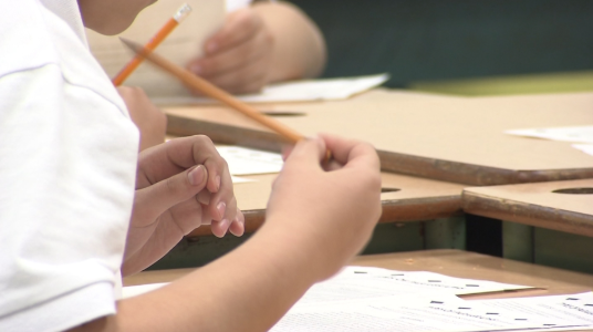 student in class