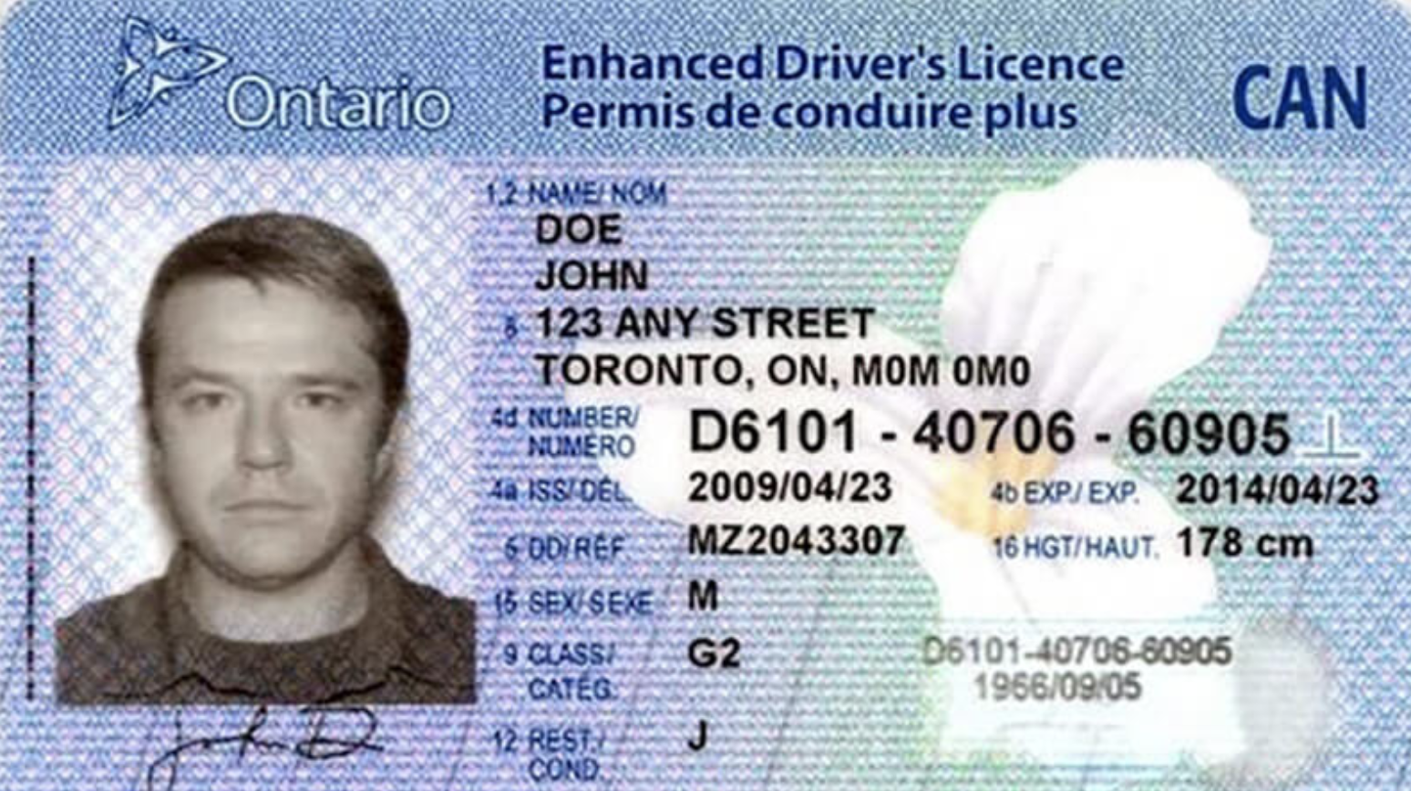 Service Ontario Renew Photo Id Card