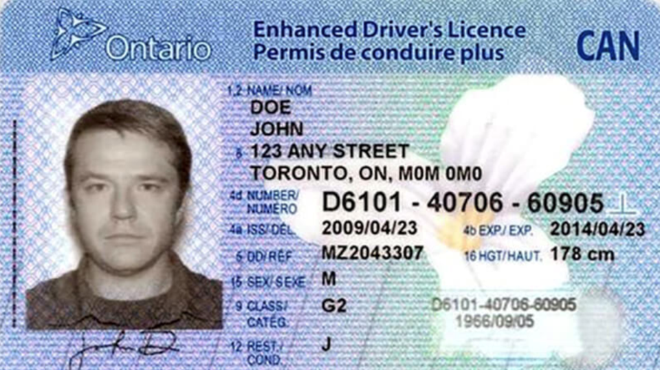 2021-11-17 driver's licence