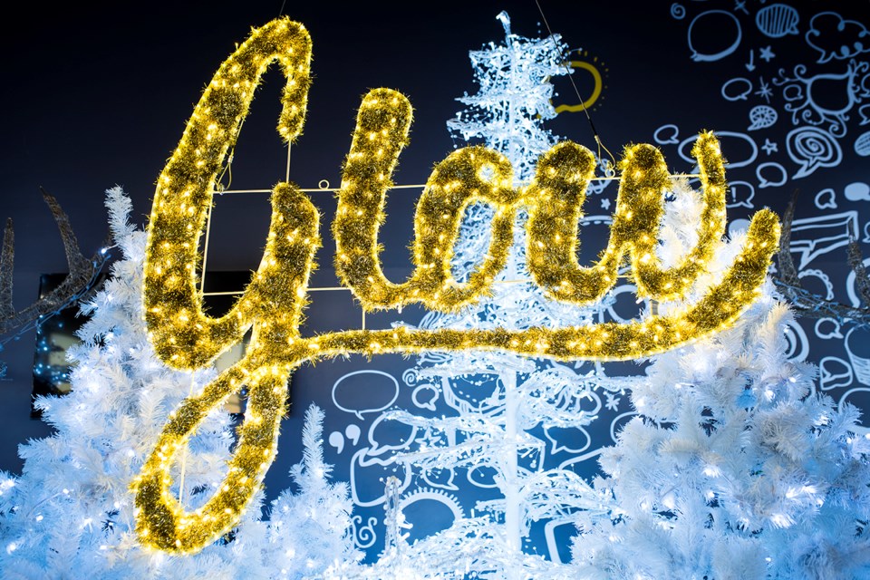 Ottawa's Glow Gardens, in photos: Photo Gallery - CityNews Ottawa