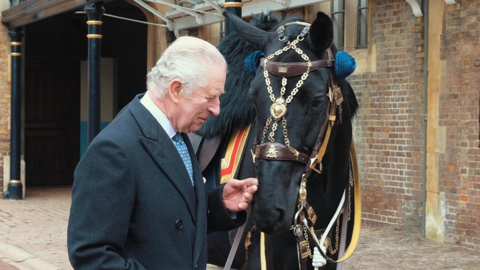 charles-horse-1536x864