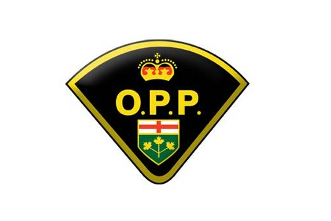 2016 opp logo1