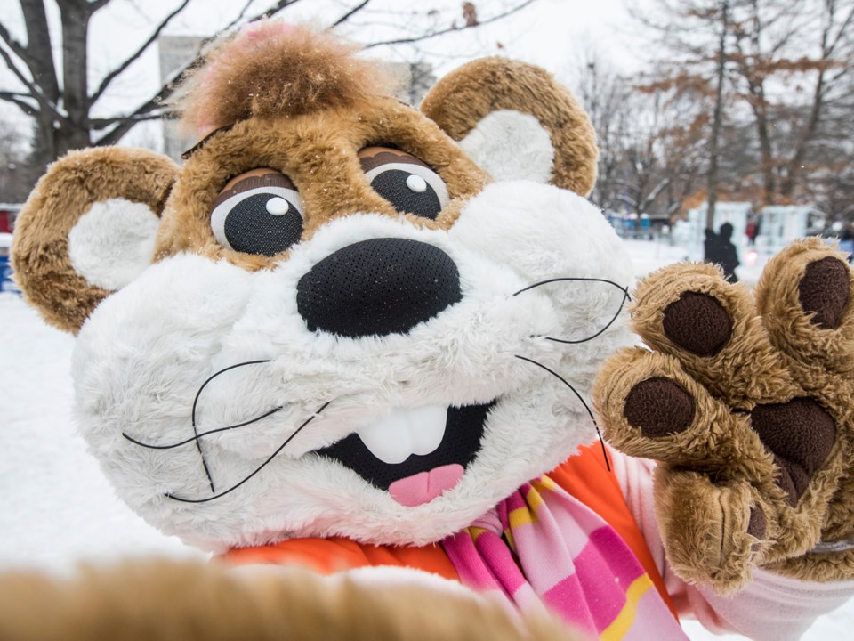 Winterlude 2020 3