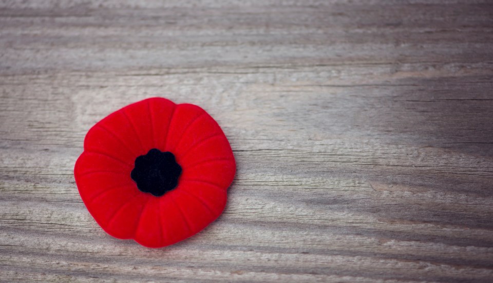 poppy-iStock_81421713_MEDIUM