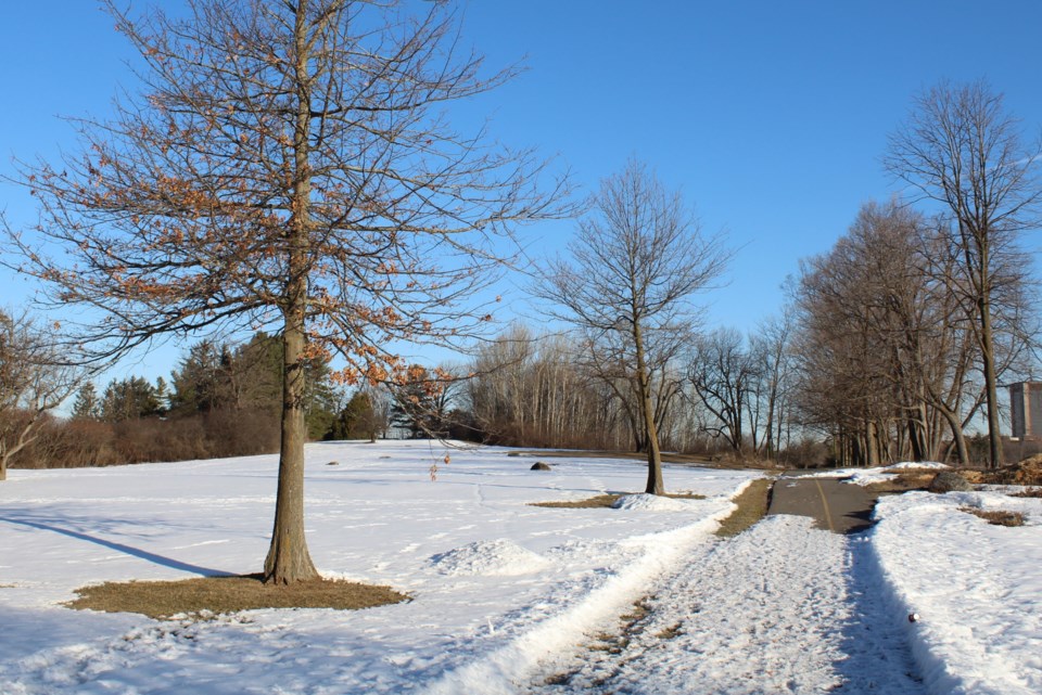 USED2018-03-26 Hog's Back Park MV2