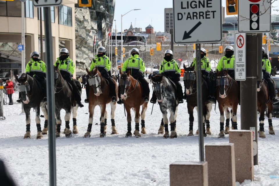 20220218-mounted-police-ottawa-convoy-protests