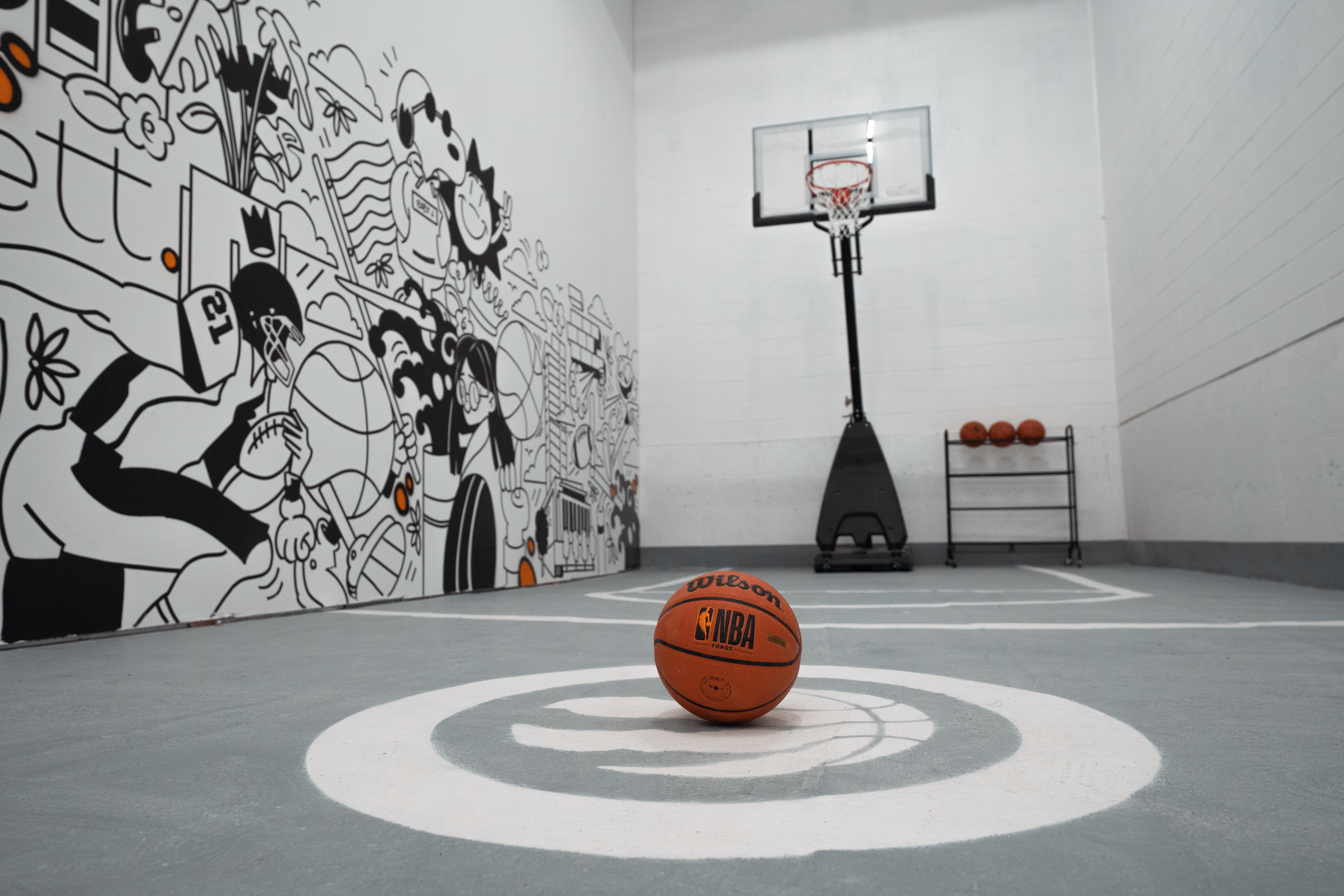 https://www.vmcdn.ca/f/files/ottawamatters/spotlight-images/district-realty/basketballcourt_edit_3.jpg