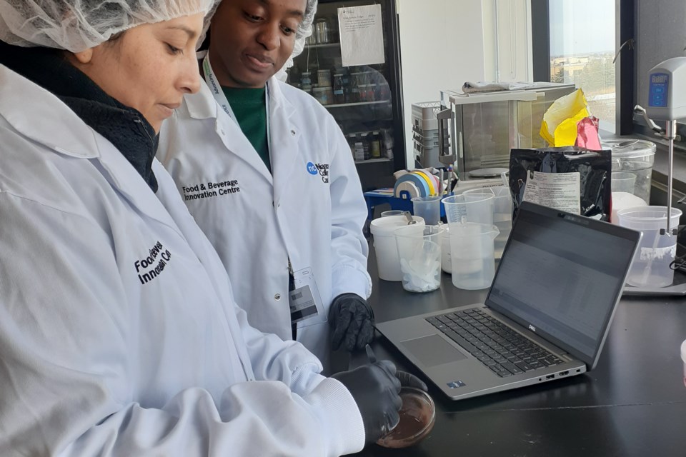 Thanks to Niagara College’s Research and Innovation division, St. Catharines-based Dispatch has turned an in-demand beverage into a commercial product with expanding reach