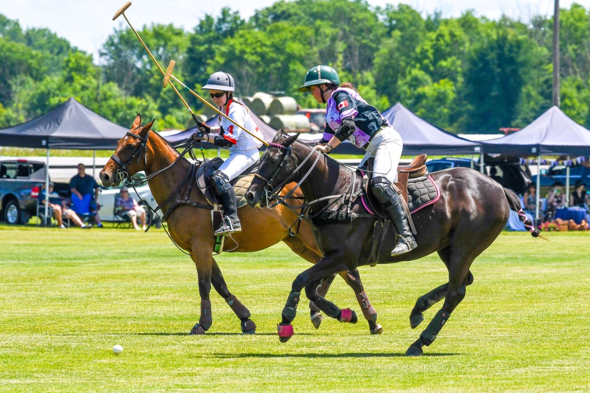 Purple Pony Market gallops in to support Gillian’s Place
