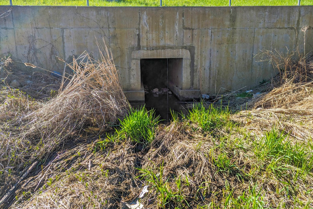 12 Mile Creek restoration set to start in Fonthill