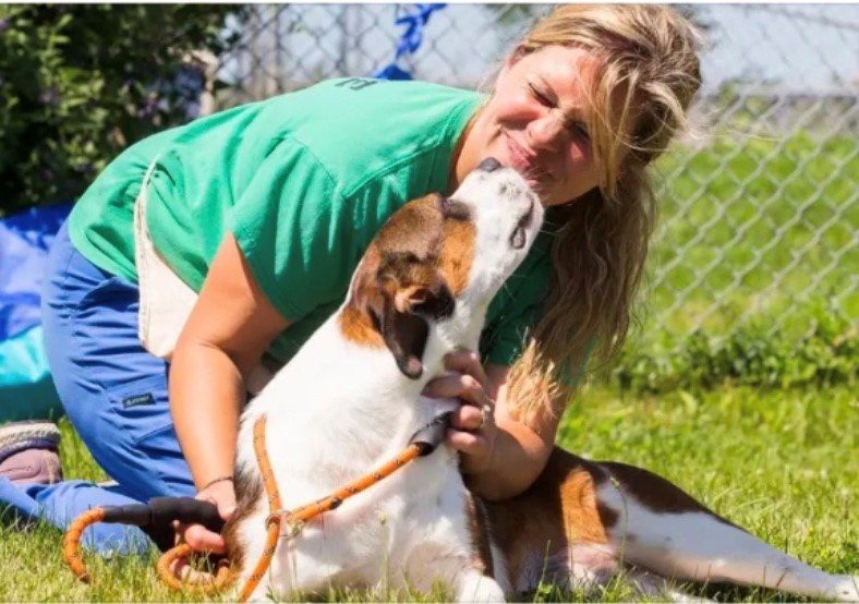 Over 75 dogs and cats from the southern United States will be arriving in Fonthill September 19 for an adoption drive that will continue to September 27. This is the latest of many trips the group BARK (Boudreau’s Animal Rescue Krewe) has made from Louisiana thanks to a relationship with local humane societies borne out of the tragedy of Hurricane Katrina in 2005.