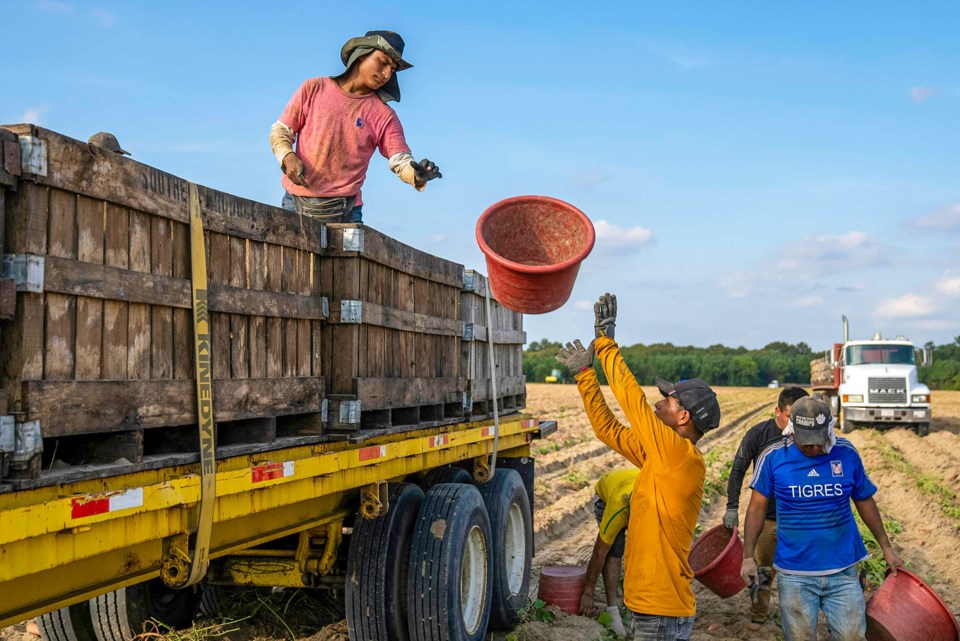 pexels-nc-farm-bureau-mark-9798995-copy