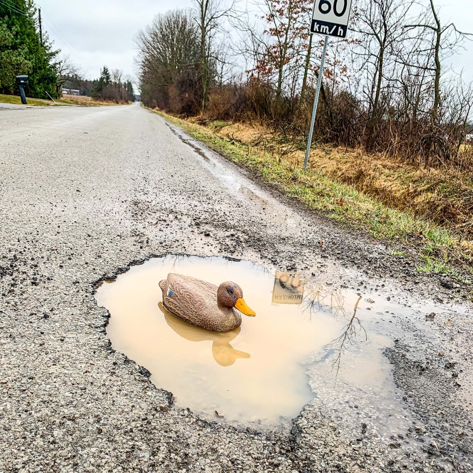 duck-in-pothole