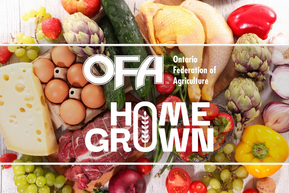 COMMENTARY: Support community farm businesses this Local Food Week