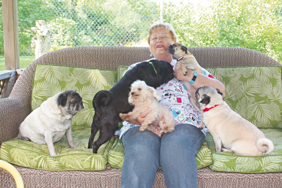 Angel's Rest—the retirement home for dogs 