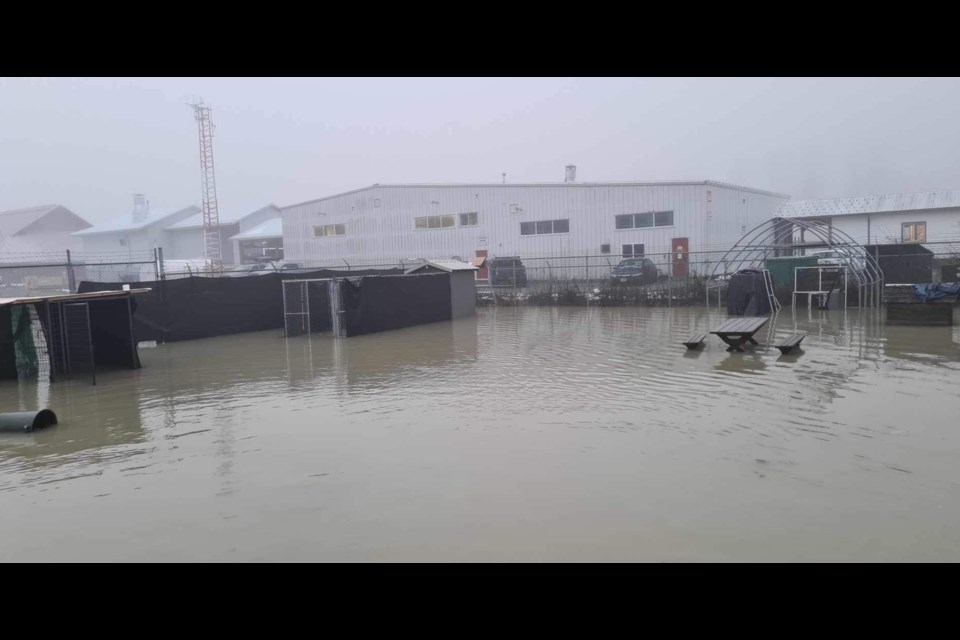 Flooding outside PAWS on Airport Road, Pemberton