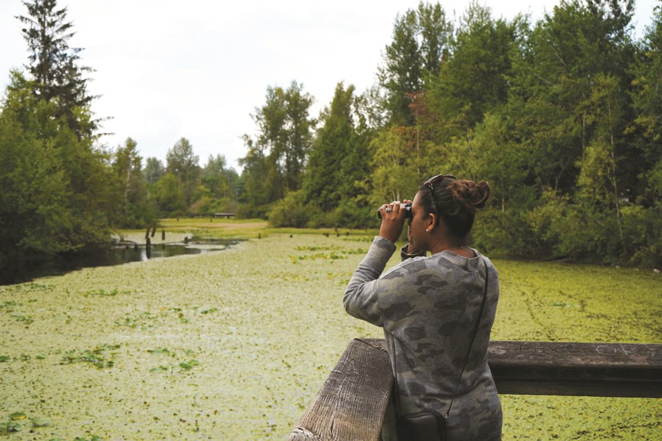 8---Fishtrap-Creek-Park---Abbotsford---BC-Bird-Trail