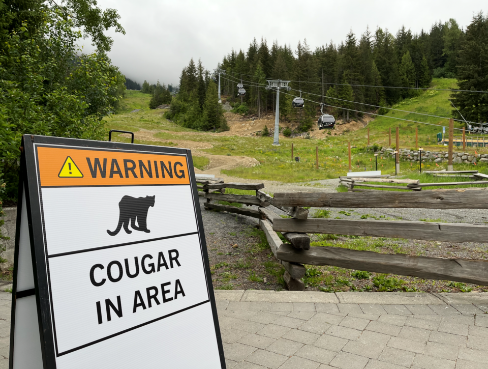 cougar-sign-june-2025