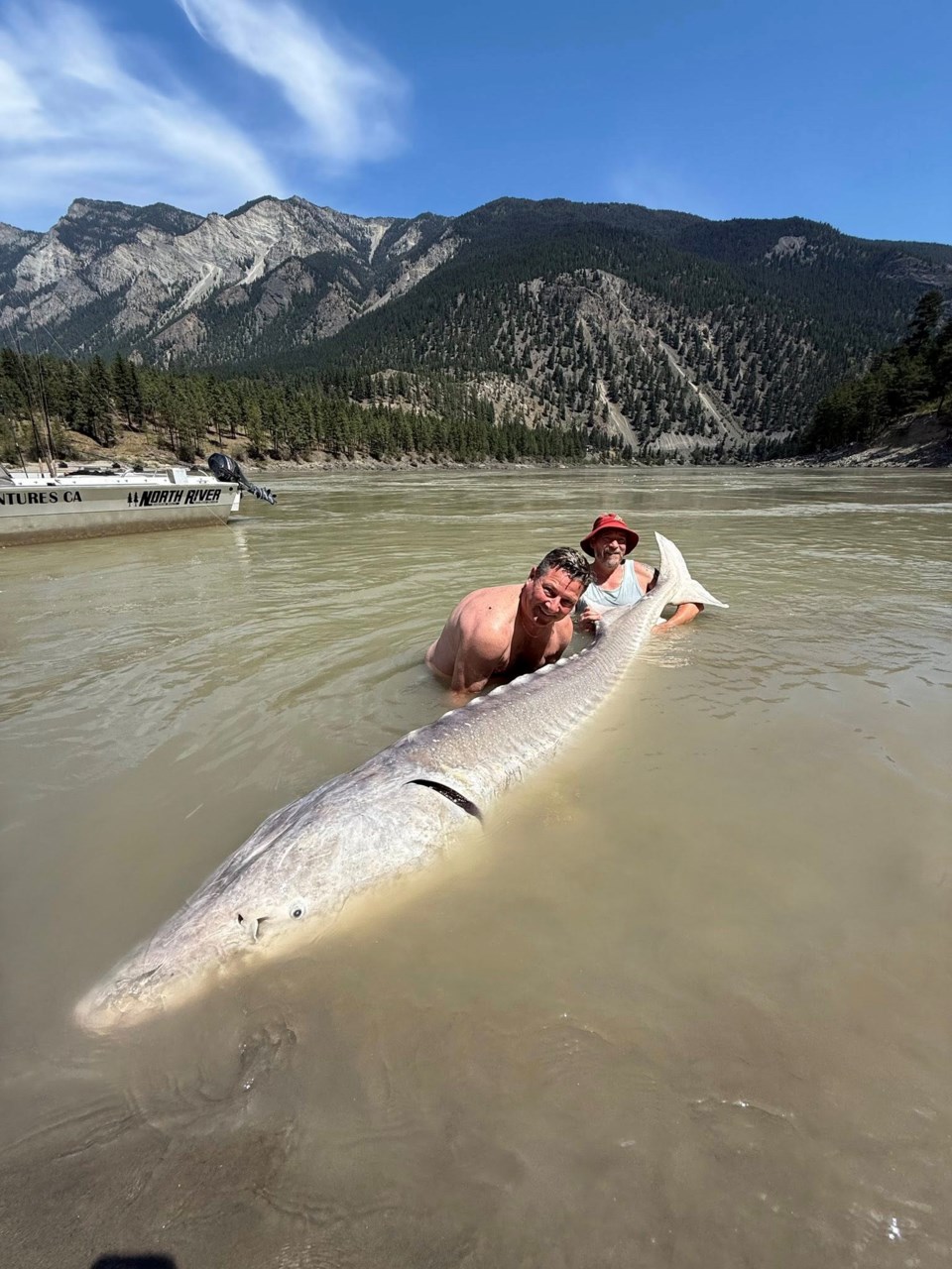 ghost-sturgeon-rma-1