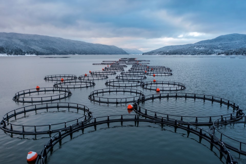 n-fish-farms-3009-getty-images