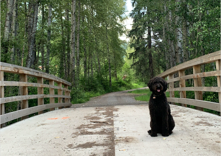 The Millar Creek Valley Trail, pictured, links Alta Lake Road with Function Junction. The section of trail will remain closed from Sept. 6 to 30. 