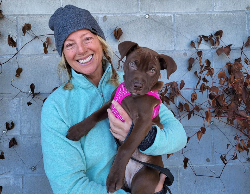 sarahmclachlanwhistlershelterpuppyadoptionwag