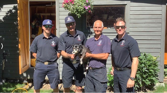 Whistler firefighters save Monkey the dog