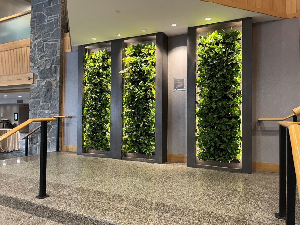 westin-whistler-living-wall