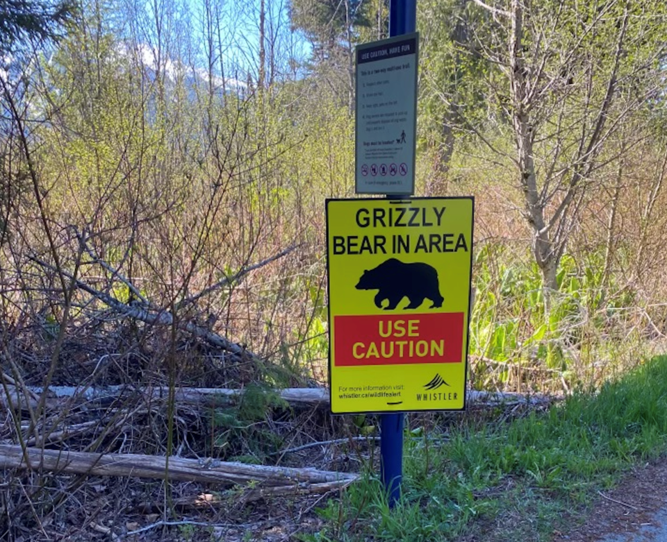 grizzly-sign-may-2024