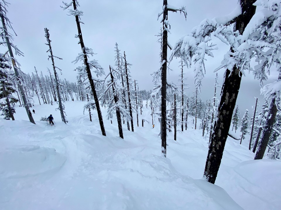 Ryan Crisp Whistler Blackcomb avalanche Sapphire Bowl - Crystal Trees