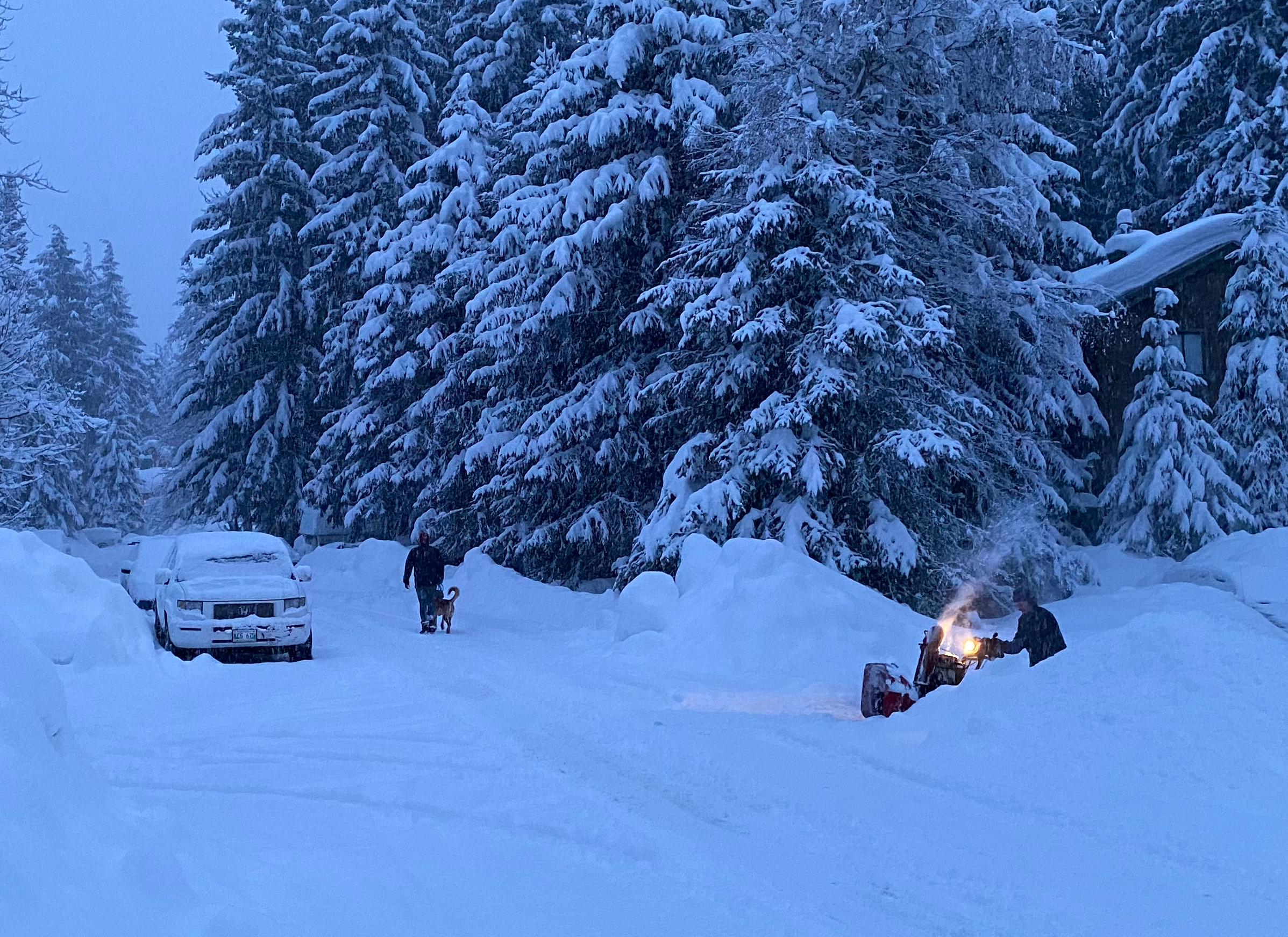 Whistler snowfall deals