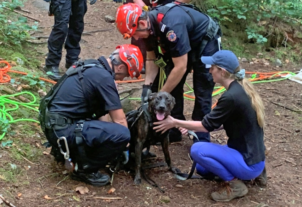 West Vancouver emergency crews urge caution after dog rescued from steep cliff