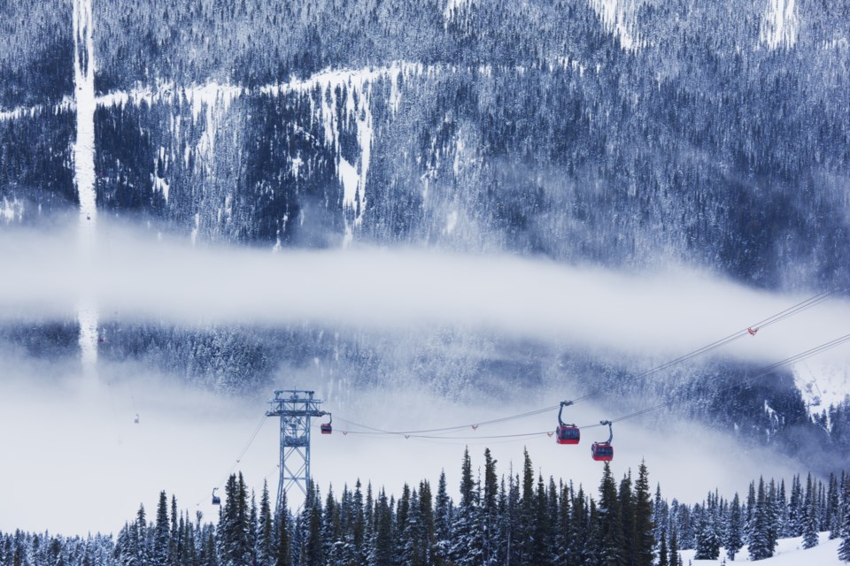 N-Vail Quarterly 28.50 PHOTO BY WALTER BIBIKOW-GETTY IMAGES