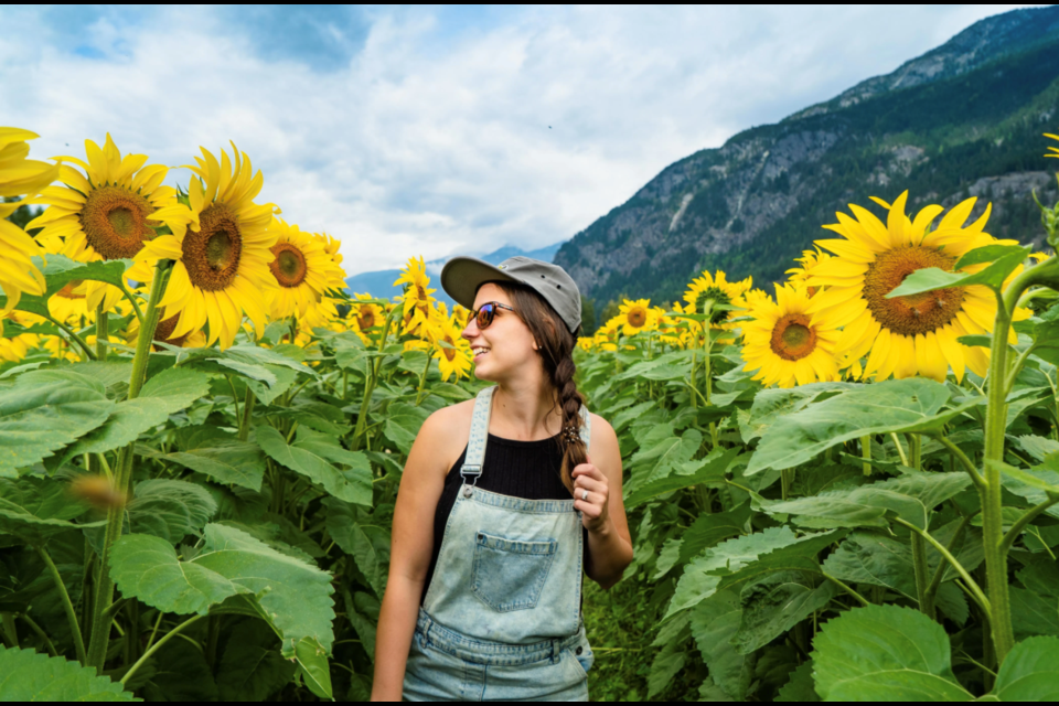 The Beer Farmers and Laughing Crow Organics' annual Pemberton Sunflower Maze is back for a fifth summer. It opens to the public on Aug. 4, 2023 — just in time for B.C. Day. 