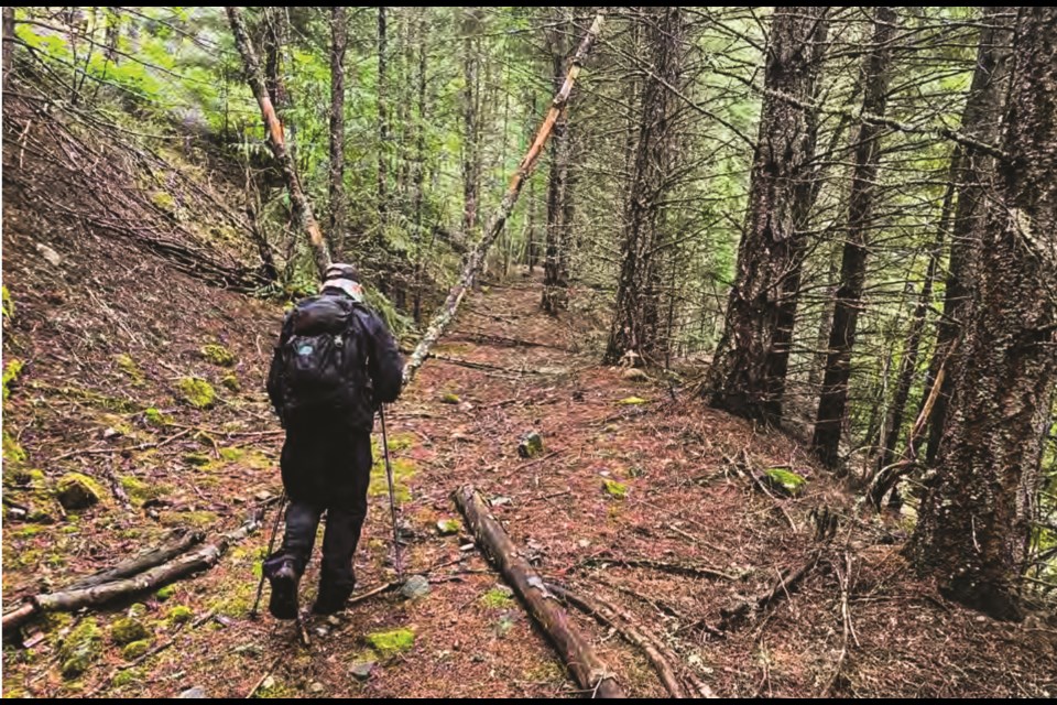 The final link of the Sea to Sky Trail between Pemberton and Whistler is moving closer to completion.