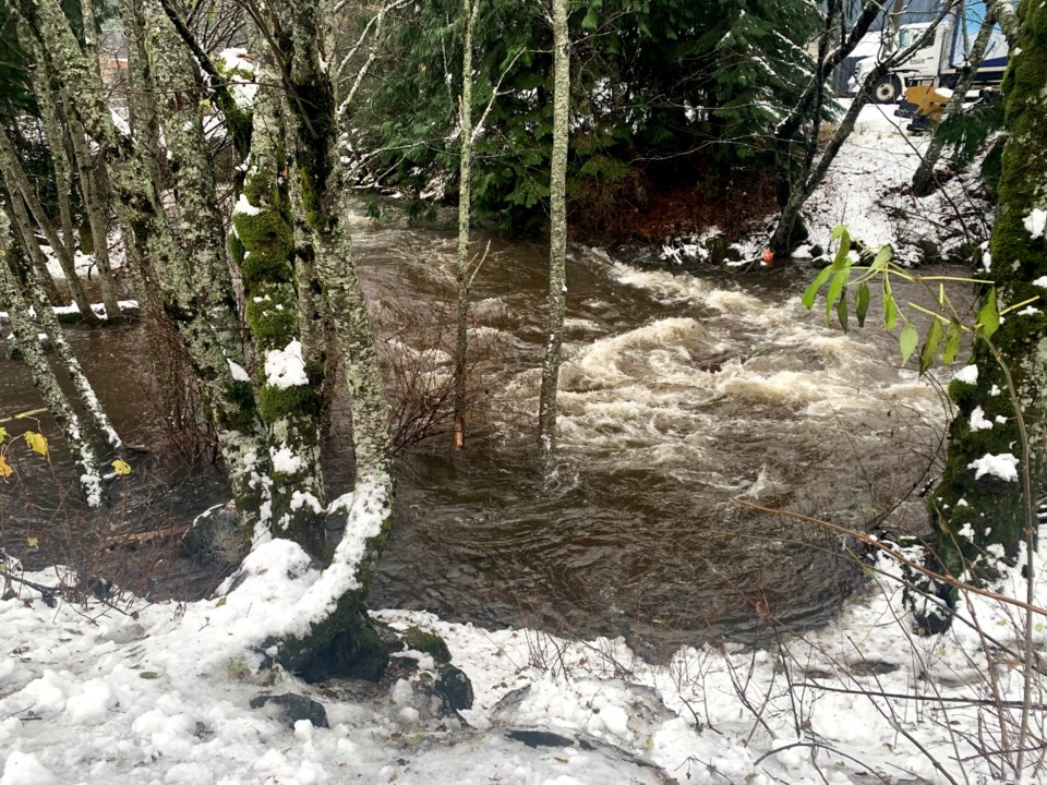 Millar Creek Function Junction Whistler November 15