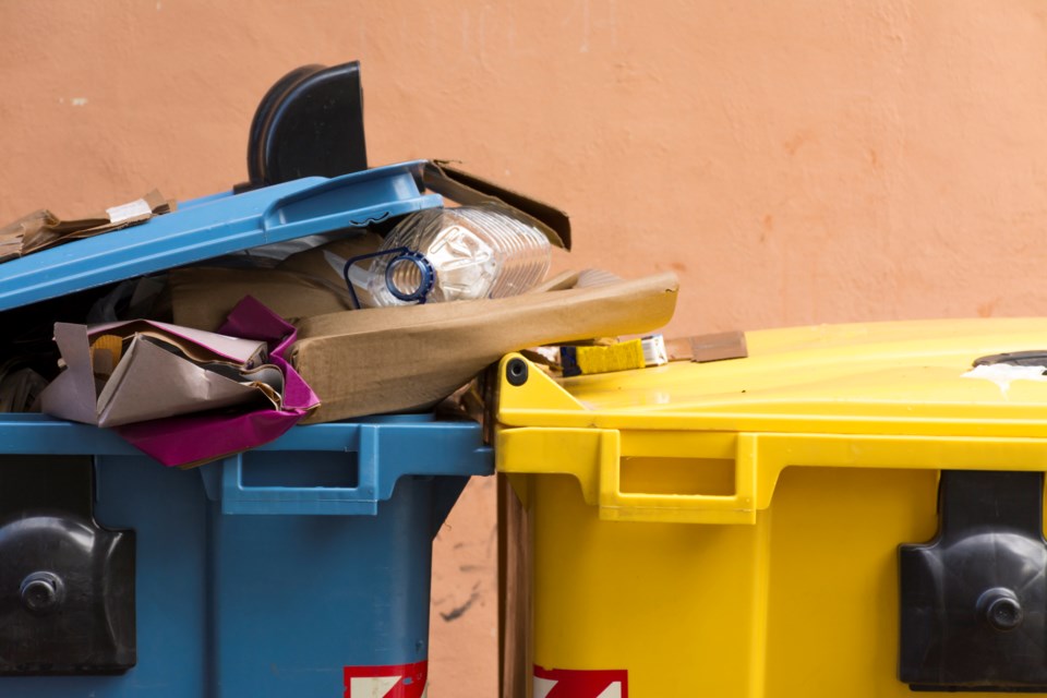 blue bin recycling