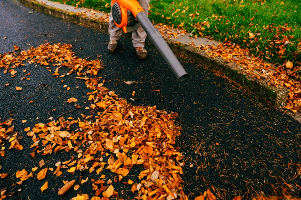 leaf-blower-getty