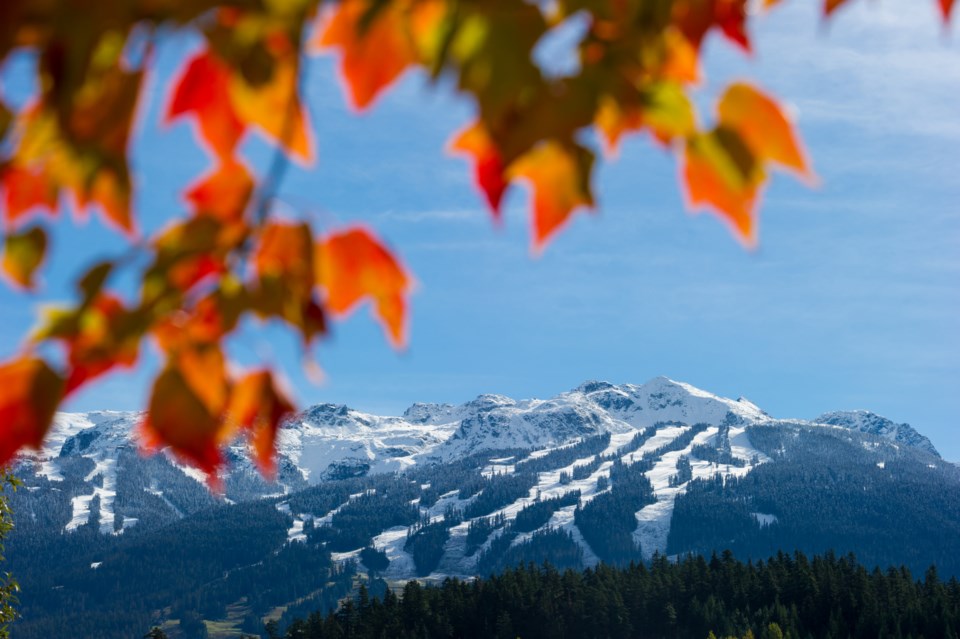 rr-fall-leaves