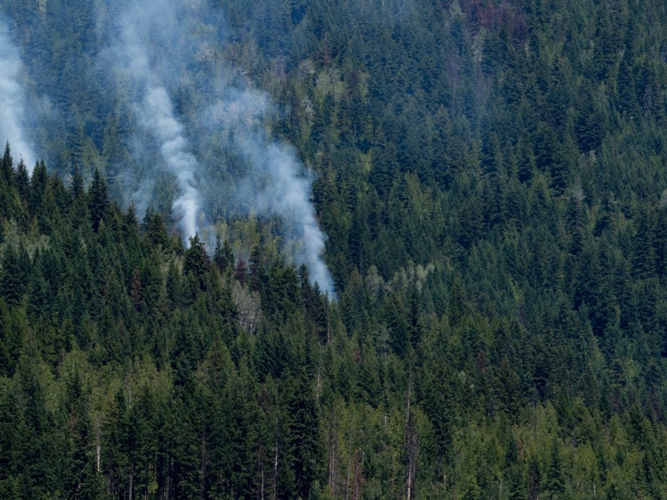 smoke-forests-editorial