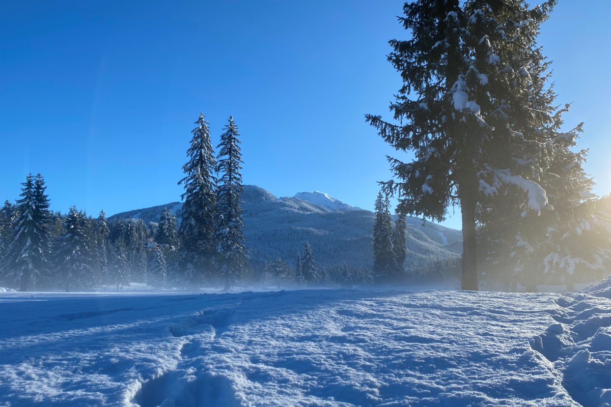 How are ski conditions in Whistler to start 2024? Pique Newsmagazine