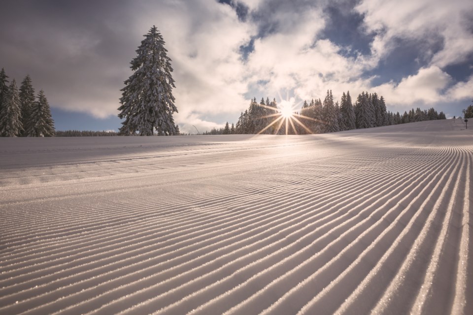 whistlergroomers