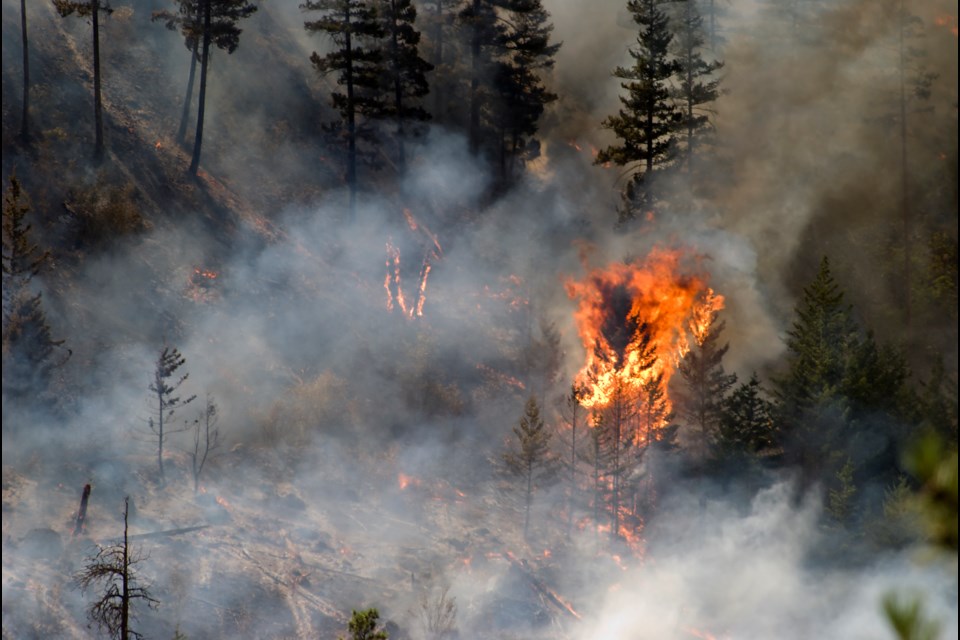 Beginning Friday, a ban on most open burning will be in effect across B.C.'s Coastal Fire Centre. Small campfires under a half-metre in both height and width are allowed, for the time being.