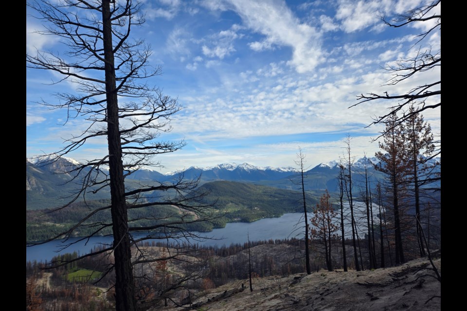 The aftermath of the fire at Gun Lake, seen in the spring of 2024. 
