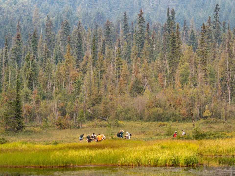 bcwf-wetlands-workshop-bob-brett-2