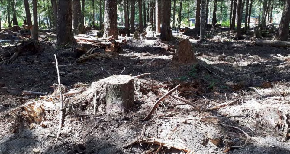 cheakamus-fire-mitigation-concerns-submitted