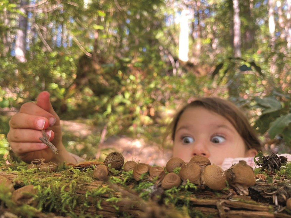 WhistlerBCFungusAMongUsmushroomfest