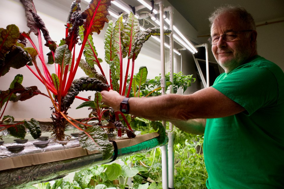 Jim Brown enjoys the technical nature of hydroponic growing.