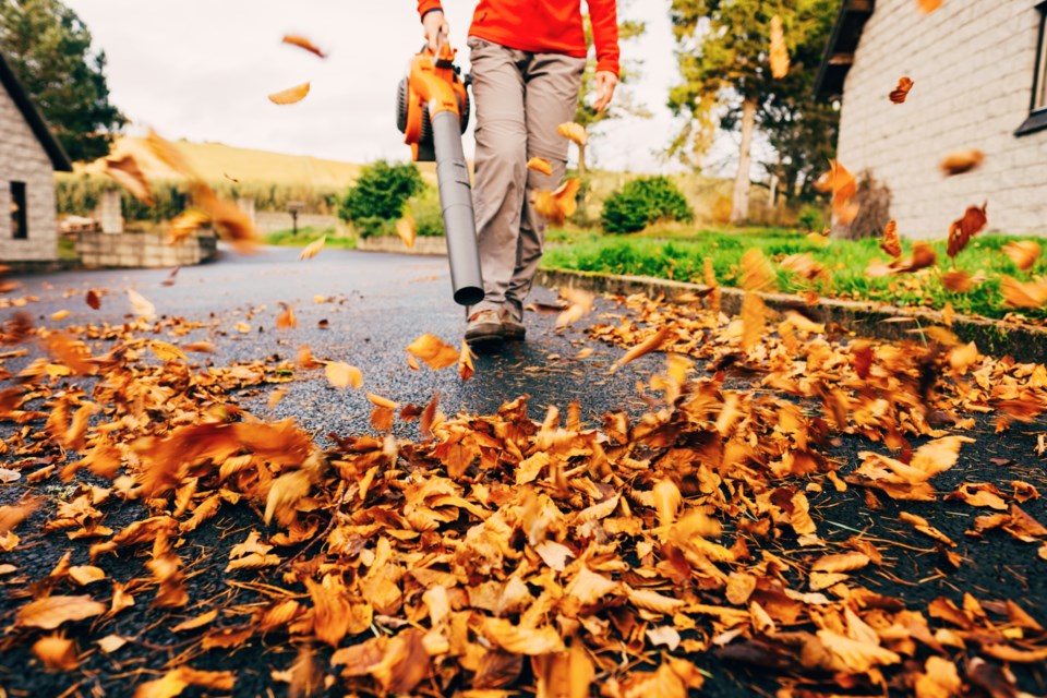 leafblowers-letter